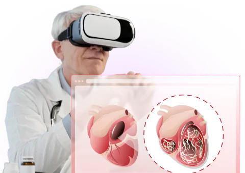 Medical Engineering Simulation Apps