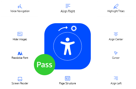 Automated Web Accessibility Audit