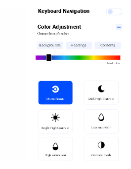 Color Adjustment - Ecommerce Accessibility 