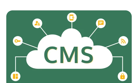 Content Management Systems eLearning