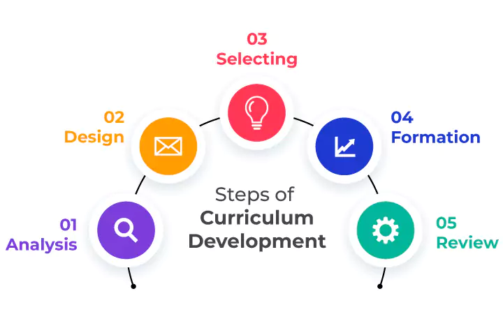 steps of curriculum development